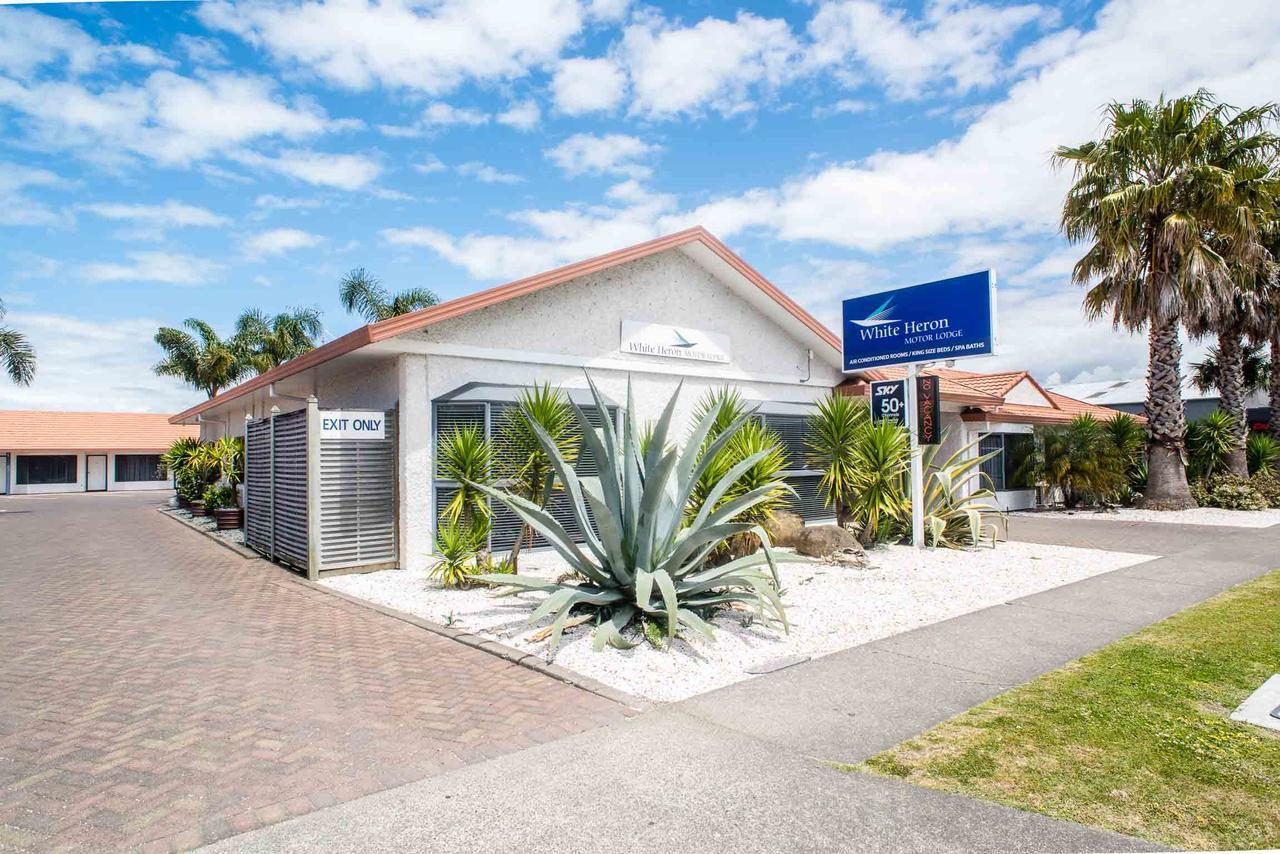 White Heron Motor Lodge Gisborne Exterior photo