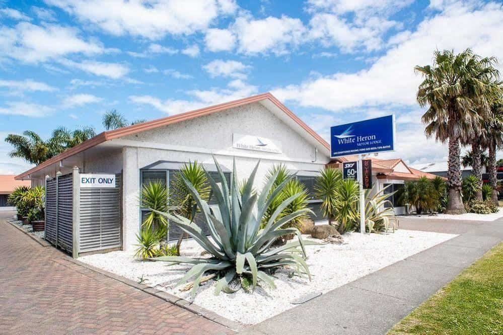 White Heron Motor Lodge Gisborne Exterior photo